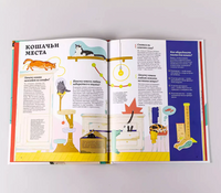 Секреты кошек. Как понять свою кошку и подружиться с ней Printed books Альпина