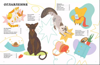 Секреты кошек. Как понять свою кошку и подружиться с ней Printed books Альпина