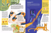 Секреты кошек. Как понять свою кошку и подружиться с ней Printed books Альпина