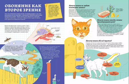 Секреты кошек. Как понять свою кошку и подружиться с ней Printed books Альпина