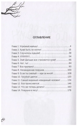 Мальчик с угрюмым лицом, или необычайная лесная история Printed books Фолиант