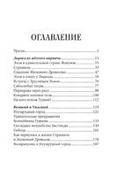 Волшебник Изумрудного города. Внеклассное чтение Printed books МИФ