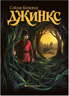 Джинкс. Книга первая Printed books Абрикобукс