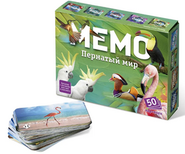 Развивающая игра Мемо Пернатый мир Board Games Нескучные игры