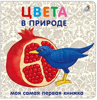 Книжки - картонки. Цвета в природе Printed books Робинс