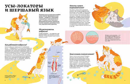 Секреты кошек. Как понять свою кошку и подружиться с ней Printed books Альпина