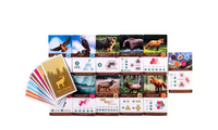 Настольная игра Каскадия Board Games Нескучные игры
