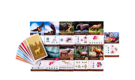 Настольная игра Каскадия Board Games Нескучные игры