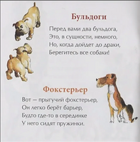 День рождения собаки. Книжка-малышка. Р. Алдонина. 0+ (2-е изд.) - [bookvoed_us]