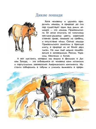 Кони. Дикие, благородные, знаменитые. Лазаренская М. Printed books Настя и Никита