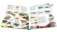 Что? Почему? Зачем? Мир морских животных (с волшебными окошками) Printed books Омега