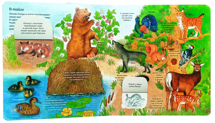 Удивительные животные. Энциклопедия с окошками Printed books Росмэн