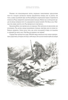 Охотники на волков. Художник Антон Ломаев Printed books Лорета