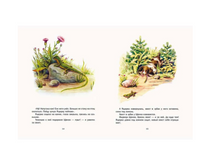 Первая охота. Бианки В. Printed books РЕЧЬ