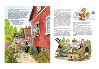 Семь тетушек и спрятанное сокровище. Куннас Маури. Printed books Речь
