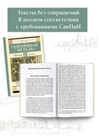 Серебряная метель. Рождественские истории и святочные рассказы. Гоголь Н.В. Printed books АСТ