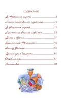Витязь в тигровой шкуре. Руставели Шота. Сказки Дальних стран Printed books BHV