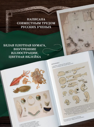 Происхождение видов путем естественного отбора. Дарвин Ч. Printed books Азбука