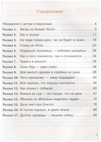 Чудесные приключения в деревне Сказкино. Шастина Е.