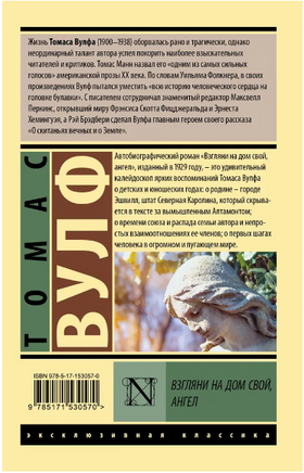 Взгляни на дом свой, ангел. Вулф Томас. Мягкий переплёт Printed books АСТ