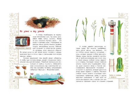 Подсмотрено у природы. Е. Максимова Printed books Настя и Никита