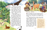 Инки. Изобретатели веревочных писем и веревочных мостов Printed books Настя и Никита