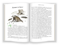 Криволапыч Printed books Абрикобукс