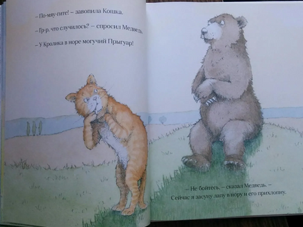 Огромный прыгуар. Джулия Дональдсон Printed books Машины Творения
