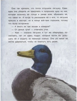 Лягушка путешественница. Гаршин Всеволод Михайлович Printed books BHV