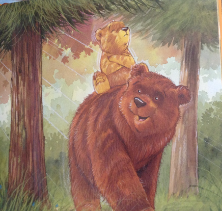 Старые медведи не умеют лазать по деревьям. (мягк.п.). Хейди Ховарт - [bookvoed_us]