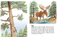 Лев по имени Илай. Сборник. Билл Пит Printed books Мелик Пашаев