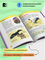 Дикие животные. Энциклопедия для детского сада - [купить в сша] - [Bookvoed US]