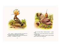 Первая охота. Бианки В. Printed books РЕЧЬ