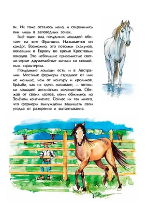 Кони. Дикие, благородные, знаменитые. Лазаренская М. Printed books Настя и Никита
