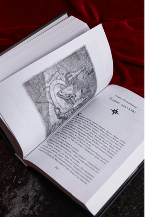 Похититель детей. Бром Джеральд Printed books АСТ