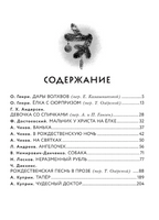 Зимнее волшебство: Сборник рождественских рассказов