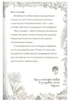 Полдень на Амазонке. Magic Tree House. Осборн Мэри. Книга 6 Printed books Карьера Пресс