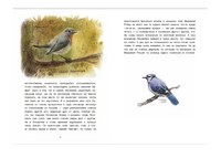 Индейские сказки. Сетон-Томпсон Эрнест. Сказки Дальних стран Printed books BHV