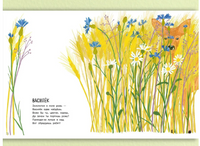 Наши цветы. Серова Е. Printed books Речь