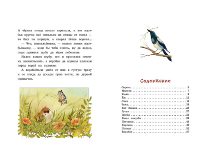 Сорочьи сказки. Толстой А. Printed books РЕЧЬ