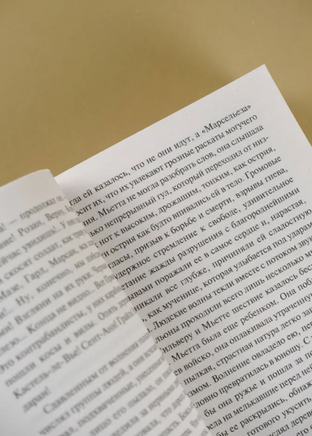 Карьера Ругонов. Золя Эмиль. Мягкий переплёт Printed books АСТ