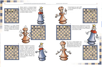 Приключения в шахматном королевстве. Ф. Халас, З. Геци Printed books Нигма