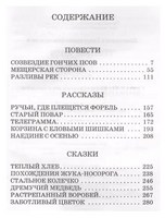 Тёплый хлеб. Паустовский К. Printed books АСТ