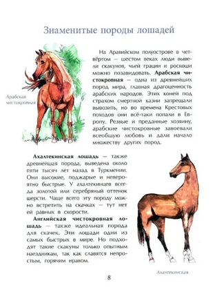 Кони. Дикие, благородные, знаменитые. Лазаренская М. Printed books Настя и Никита