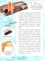 Поморы. Покорители северных морей. Щербакова Н. Printed books Настя и Никита