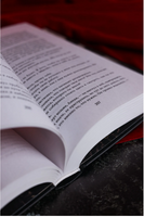 Похититель детей. Бром Джеральд Printed books АСТ