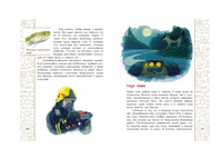 Подсмотрено у природы. Е. Максимова Printed books Настя и Никита