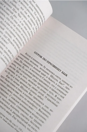 Луна над горой. Накадзима Ацуси. Мягкий переплёт Printed books АСТ