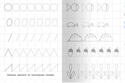Для детского сада. Первые прописи в клетку Printed books Омега