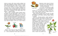 Тайга. Удивительный лес. Александр Ткаченко Printed books Настя и Никита